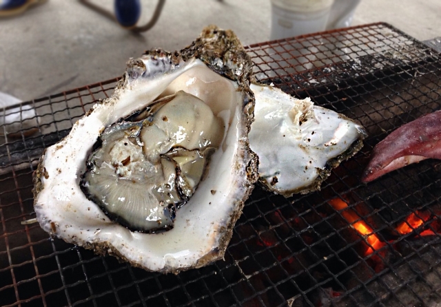 広島牡蠣の通販で生食用を買うなら直売がおすすめ！口コミ評判は？