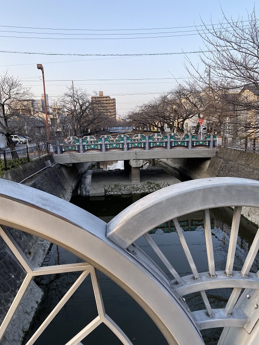 大江川緑道の花見